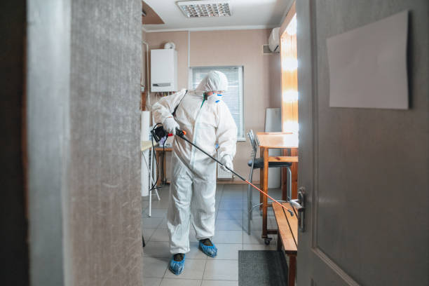 Best Emergency Mold Remediation  in Midfield, AL
