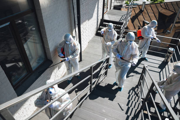 Best Biohazard Mold Removal  in Midfield, AL