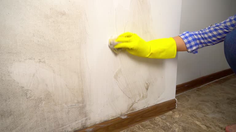 Best Environmental Consulting for Mold Prevention  in Midfield, AL