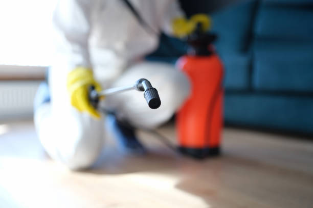 Best Post-Construction Mold Inspection  in Midfield, AL