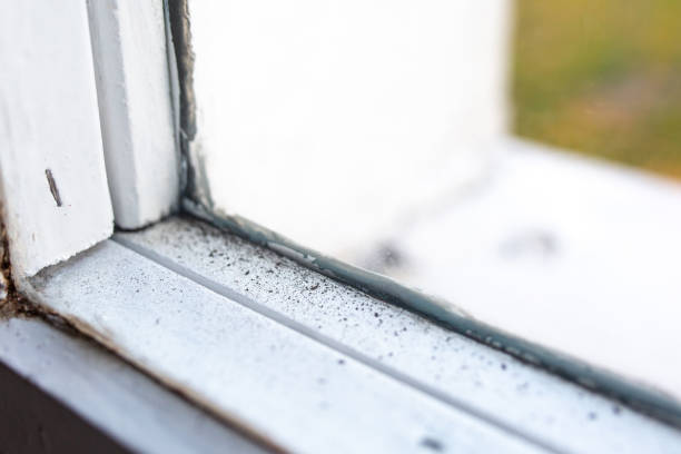 Best Asbestos and Lead Testing During Mold Inspection  in Midfield, AL
