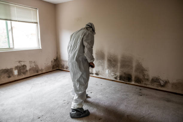 Best Mold Remediation for Healthcare Facilities  in Midfield, AL