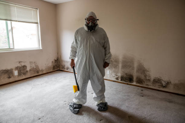 Best HVAC Mold Inspection and Cleaning  in Midfield, AL